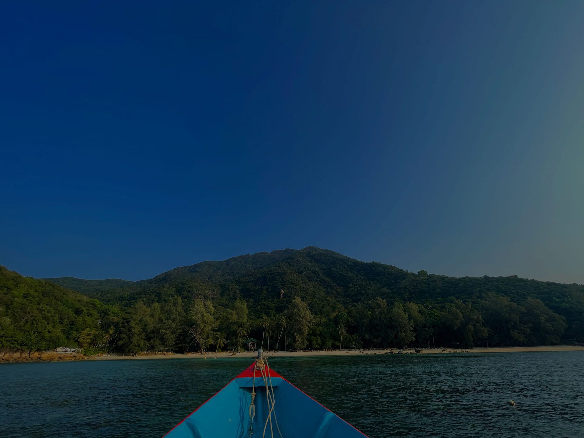 The Daily Purpose Journey: A simple daily practice to come home to yourself and navigate the bumps and hiccups of being human.